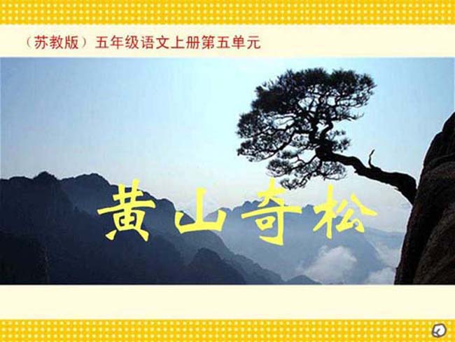 黄山奇松ppt