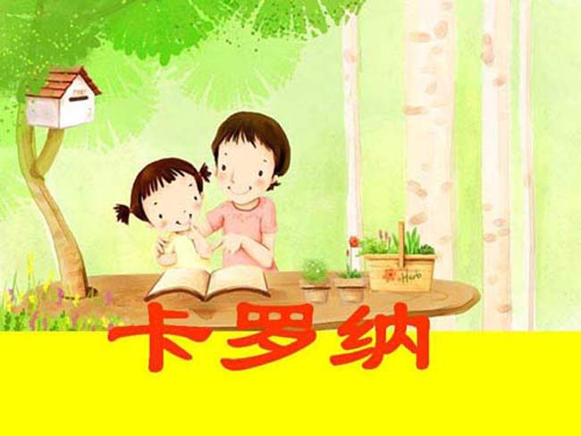 卡罗纳ppt