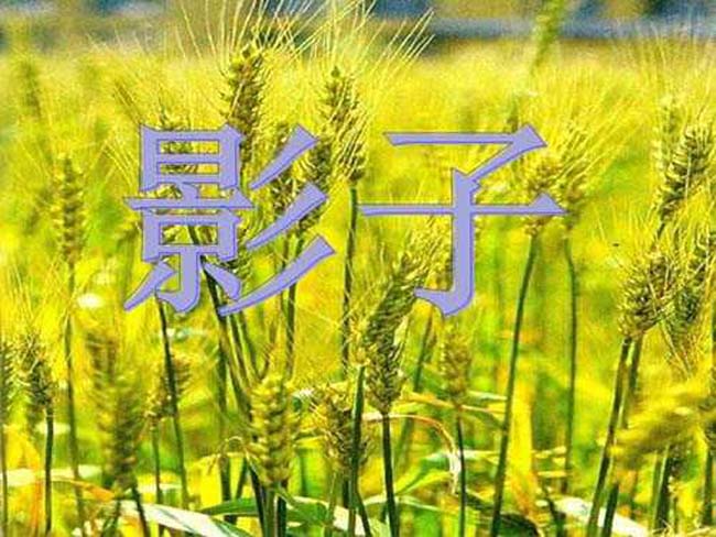 影子PPT