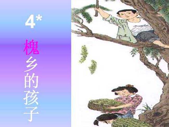 槐乡的孩子ppt