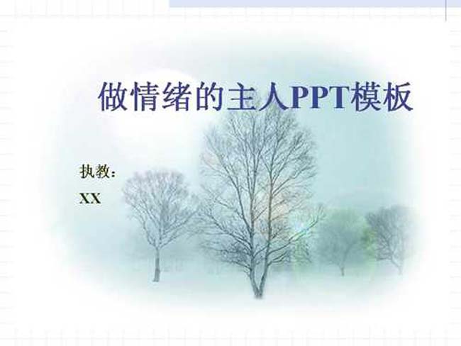 做情绪的主人ppt模板