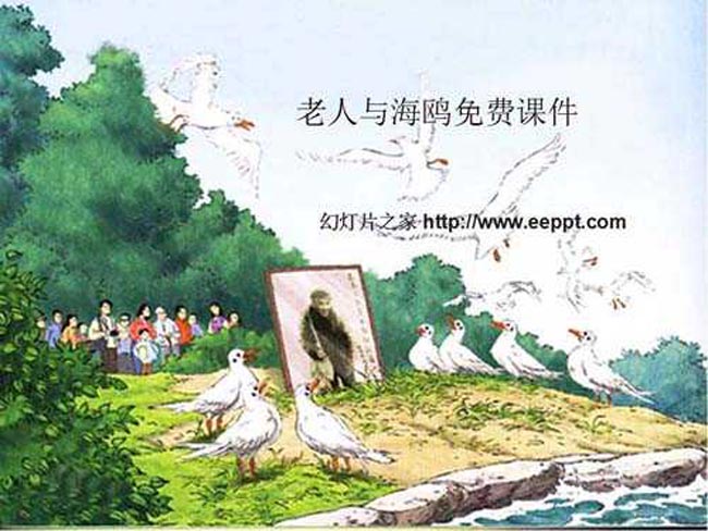 老人与海鸥免费ppt课件