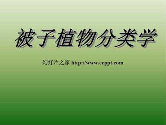 被子植物分类学课件ppt模板