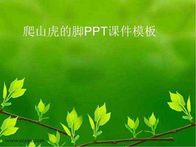 爬山虎的脚PPT课件模板
