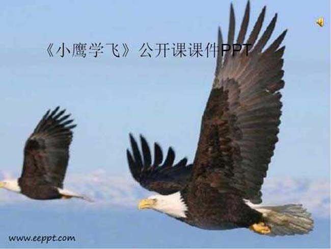 小鹰学飞PPT课件模板下载