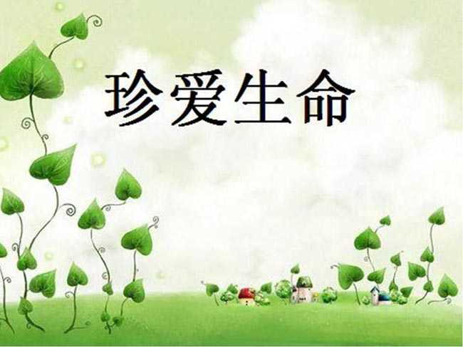 珍爱生命ppt背景图片