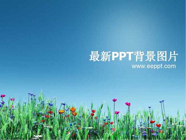 最新ppt背景图片下载