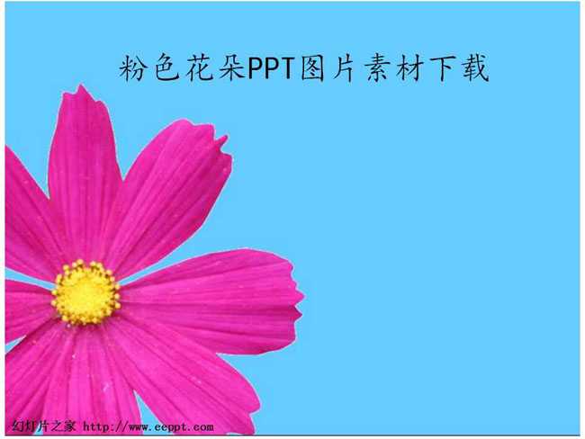 粉色花朵ppt图片素材下载