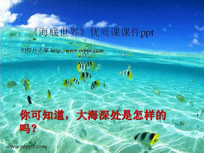 海底世界PPT课件免费下载