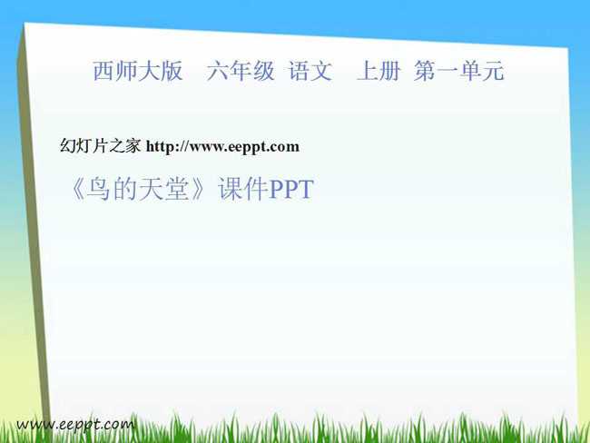 鸟的天堂课件PPT模板