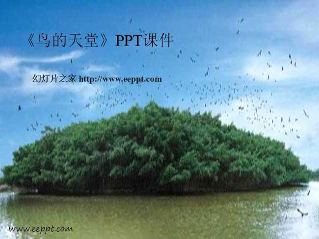 鸟的天堂PPT课件模板