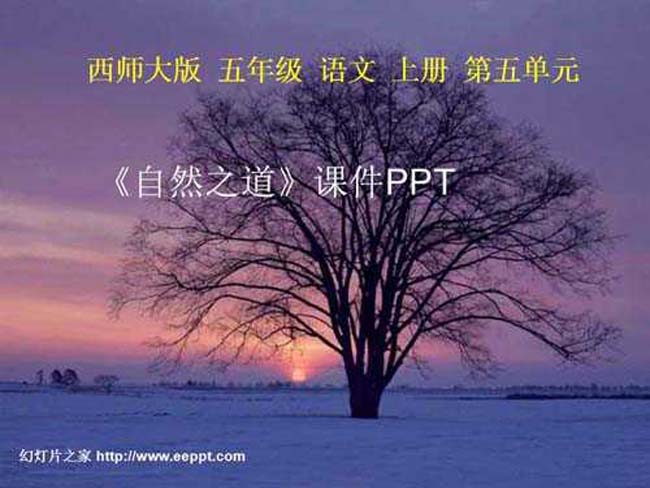 自然之道课件PPT模板