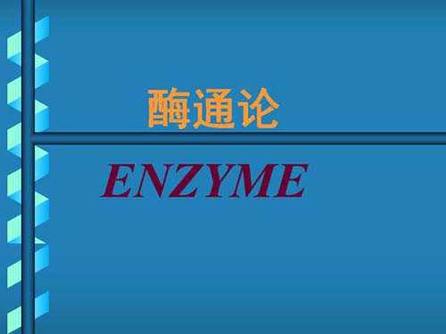 酶通论