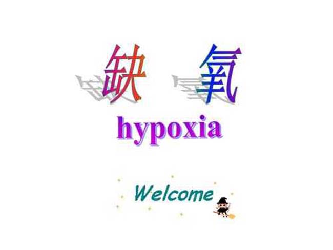 缺氧ppt模板