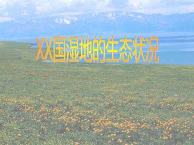 中国湿地的生态状况课件ppt
