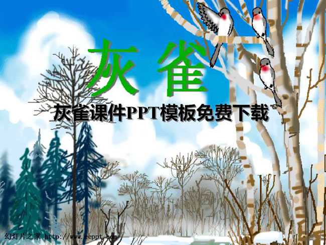灰雀课件PPT模板免费下载