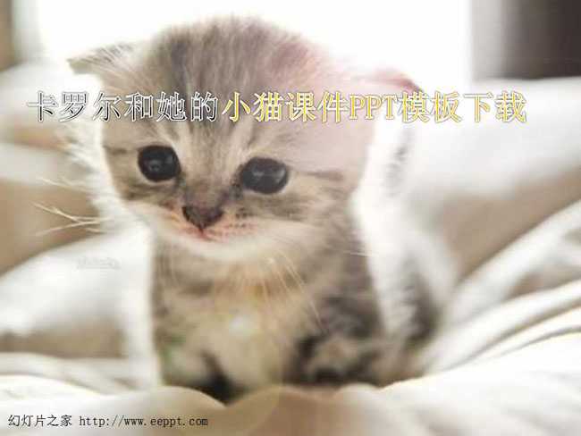卡罗尔和她的小猫课件PPT模板下载
