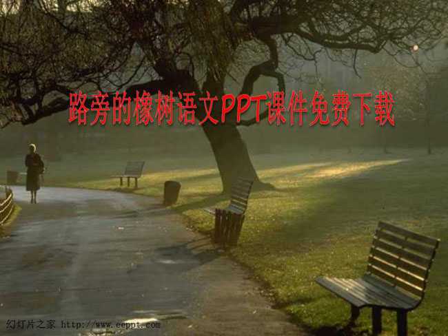 路旁的橡树语文PPT课件免费下载