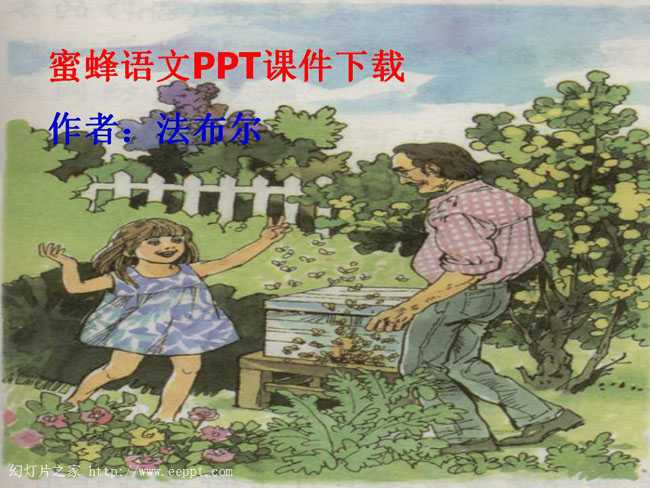 蜜蜂语文PPT课件下载