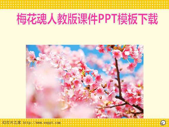梅花魂人教版课件PPT模板下载