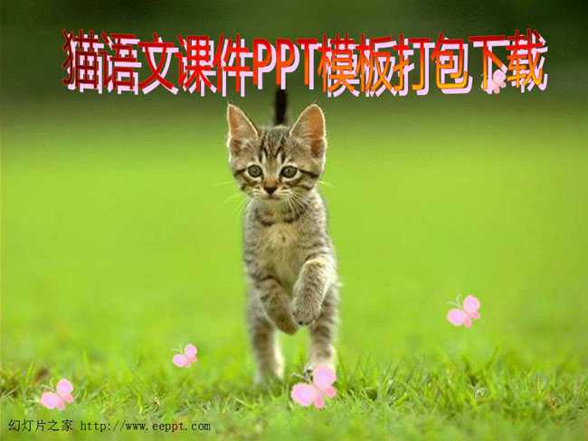 猫语文课件PPT模板打包下载