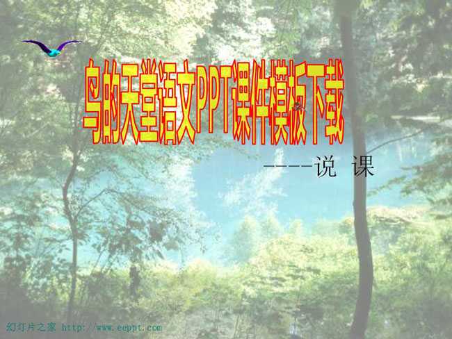 鸟的天堂语文PPT课件模板下载