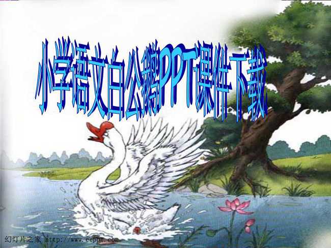 小学语文白公鹅PPT课件下载