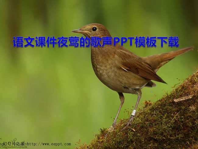 语文课件夜莺的歌声PPT模板下载