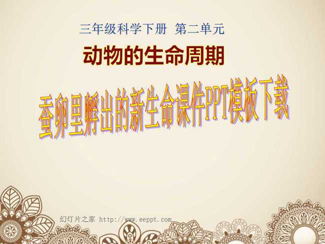 蚕卵里孵出的新生命课件PPT模板下载