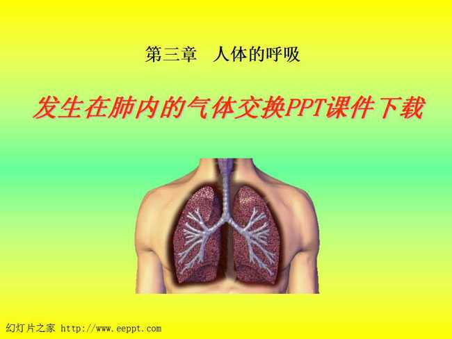 发生在肺内的气体交换PPT课件下载