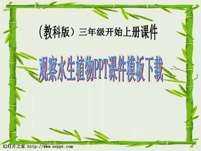 观察水生植物PPT课件模板下载