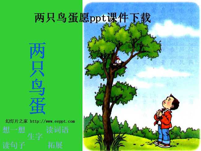 两只鸟蛋愿ppt课件下载