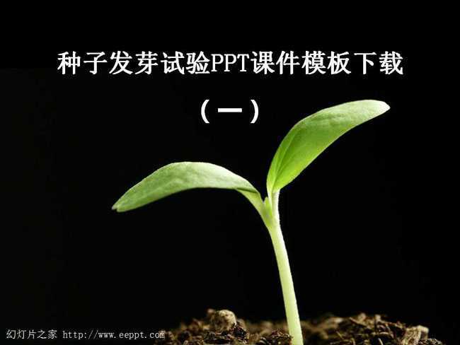 种子发芽试验PPT课件模板下载