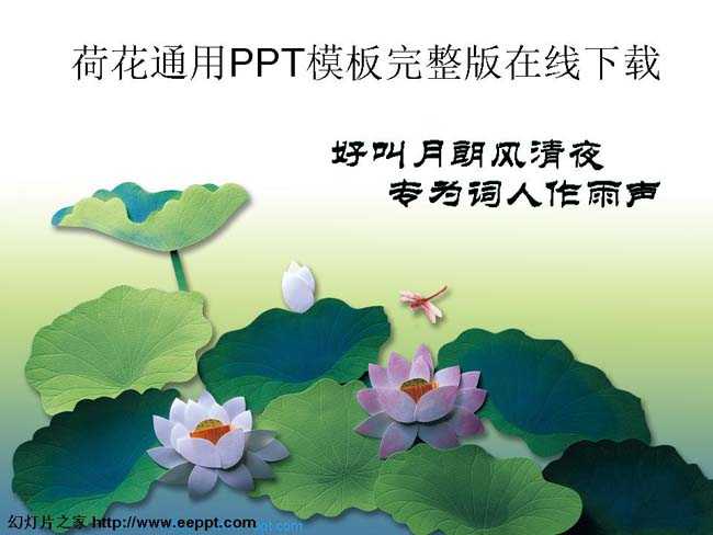 荷花通用PPT模板完整版在线下载