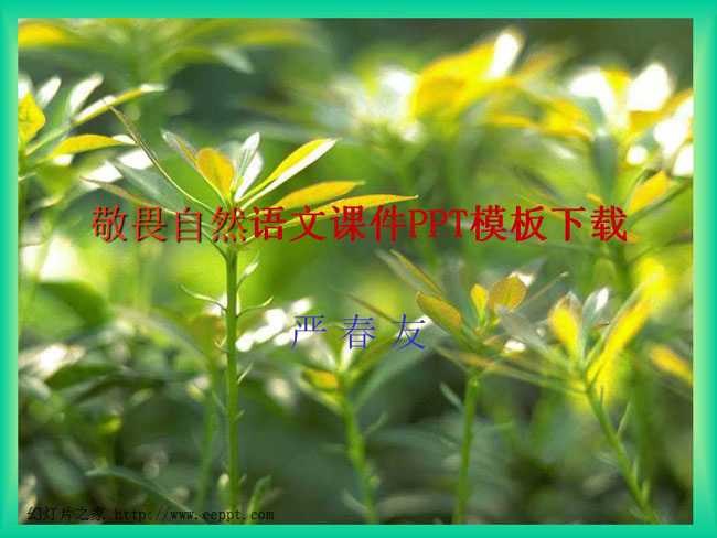 敬畏自然语文课件PPT模板下载