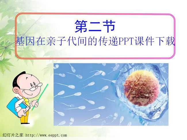 基因在亲子代间的传递PPT课件下载