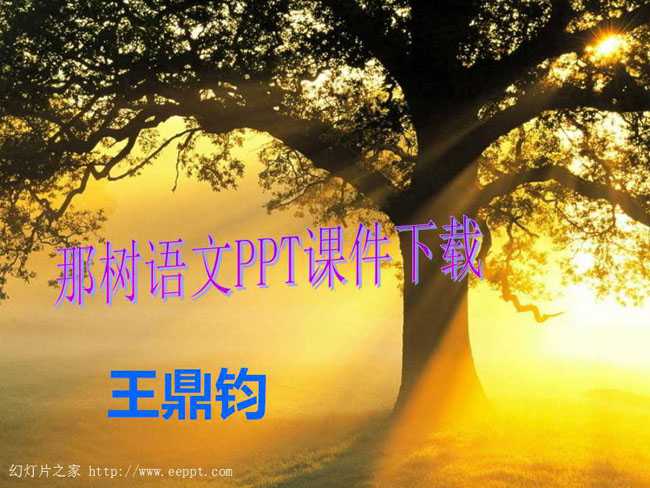 那树语文PPT课件下载
