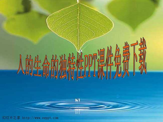 人的生命的独特性PPT课件免费下载