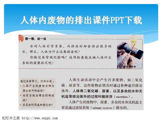 人体内废物的排出课件PPT下载