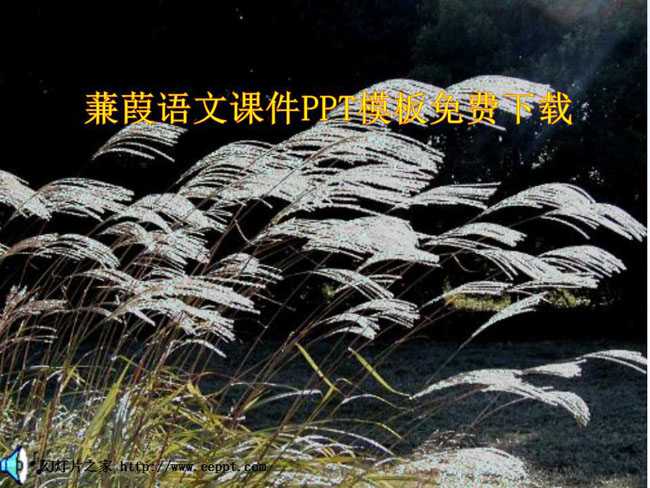 蒹葭语文课件PPT模板免费下载