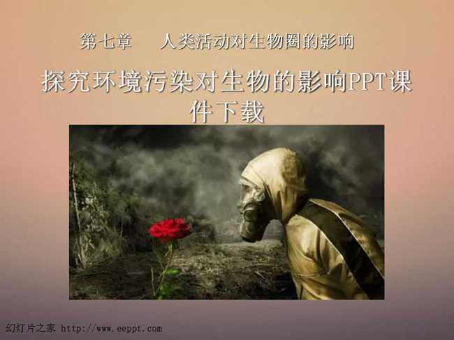 探究环境污染对生物的影响PPT课件下载