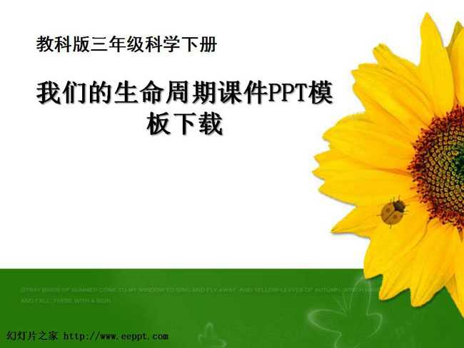 我们的生命周期课件PPT模板下载