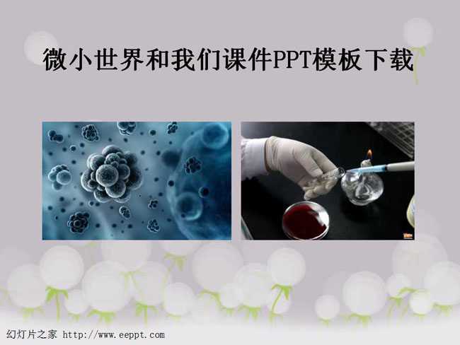 微小世界和我们课件PPT模板下载