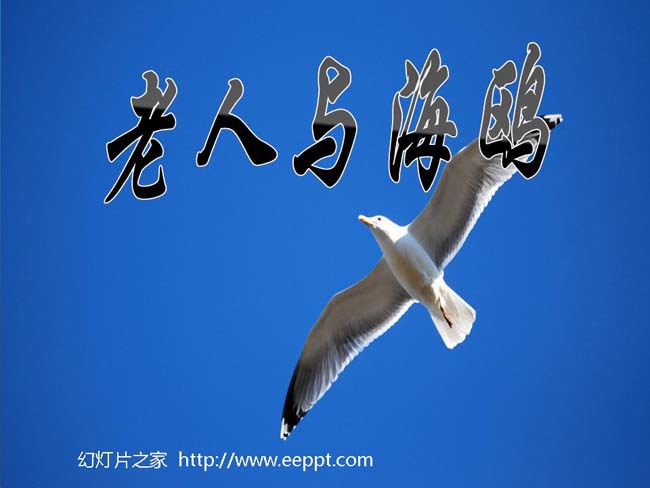 老人与海鸥ppt模板在线免费下载