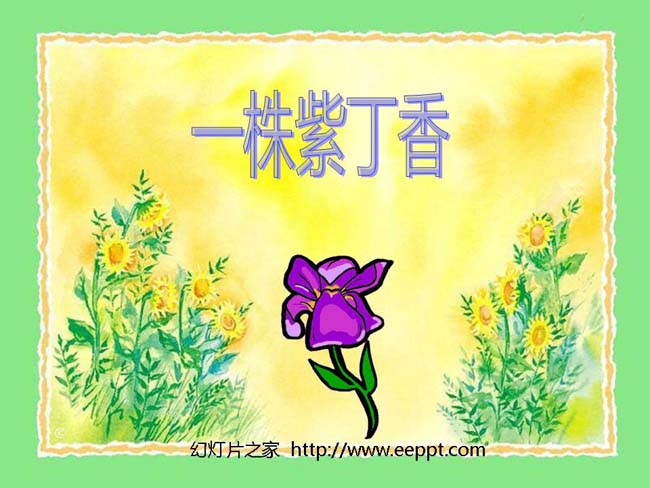 《一株紫丁香》ppt模板在线下载