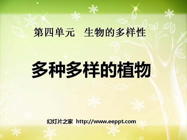 《多种多样的植物》ppt课件模板在线免费下载