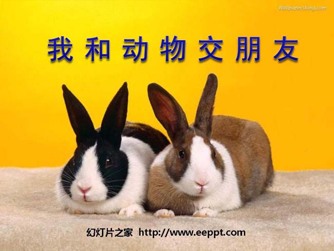 我和动物交朋友幻灯片在线免费下载