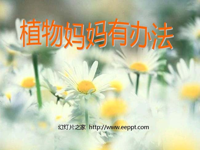 《植物妈妈有办法》ppt模板下载