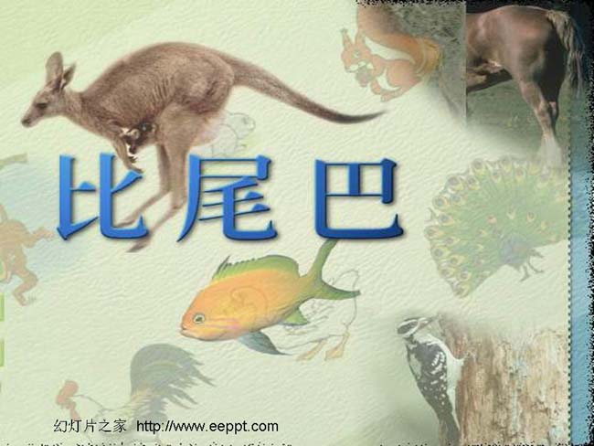 比尾巴ppt模板完整版免费下载