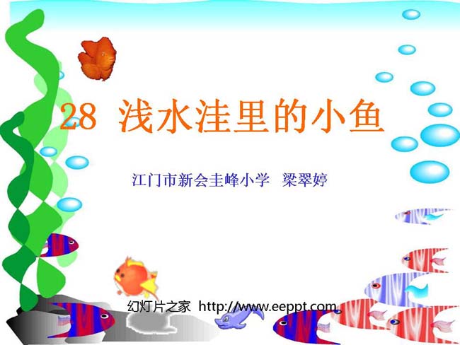 浅水洼里的小鱼ppt模板完整版打包下载